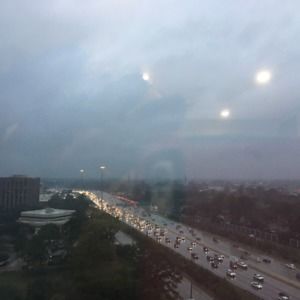 Meet your Posher, Delia